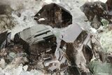 Lustrous Axinite-(Fe) and Smoky Quartz Associaition - Russia #208745-8
